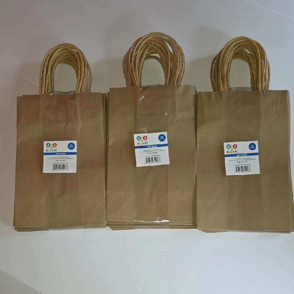 Party Kraft Paper Gift Bags with Twisted Handles- Set Of 3